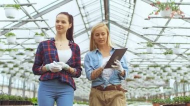 Ziraat Mühendisi Tablet bilgisayar profesyonel çiftçi ile endüstriyel sera size yürür tutar. Onlar bitkilerin incelemek ve büyüyen potansiyel çözümleyebilirsiniz. Glasshouse büyük ve parlak Çiçeklik dolu olduğunu.