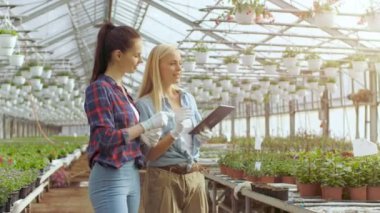 Ziraat Mühendisi Tablet bilgisayar profesyonel çiftçi ile endüstriyel sera size yürür tutar. Onlar bitkilerin incelemek ve büyüyen potansiyel çözümleyebilirsiniz. Glasshouse büyük ve parlak Çiçeklik dolu olduğunu.