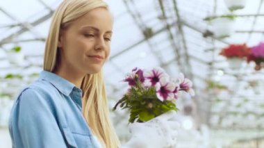 Güzel Bayan Gardner Tencerede Çiçek Kokuyor. Sunny Endüstri Serasında Çiçeklerle Mutlulukla Çalışıyor.