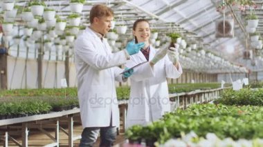 Endüstriyel serada iki tarım mühendisleri analitik gücünü Tablet bilgisayar kullanımı ile potansiyel büyüyen çiçek kontrol..