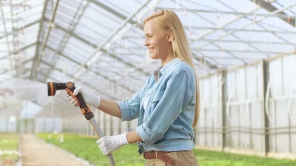 Happy Female Gardener Waters Plantes et fleurs avec un tuyau d'arrosage dans une serre industrielle ensoleillée . — Video