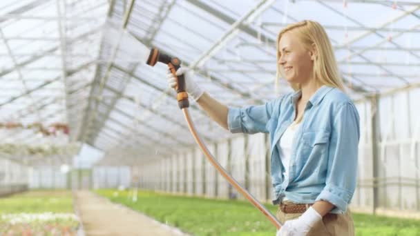 Glückliche Gärtnerin gießt Pflanzen und Blumen mit einer Schlauchleitung im sonnigen industriellen Gewächshaus. — Stockvideo