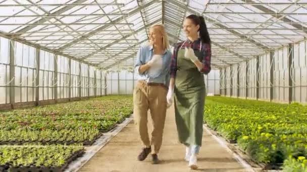 Zwei glückliche industrielle Gewächshausarbeiter gehen durch Reihen von bunten Blumen und grünem Gemüse. sie lächeln und sind glücklich mit Bio-Lebensmitteln, die sie anbauen. — Stockvideo
