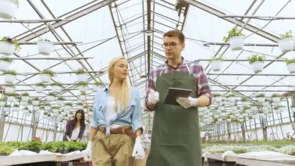 В солнечной промышленной теплице инженер сельского хозяйства и садовник осматривать цветы и растения и анализировать данные с планшетного компьютера. Видны ряды редких и коммерчески жизнеспособных растений . — стоковое видео