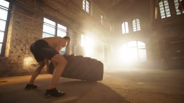 Erős, izmos ember felvonók gumiabroncs a kereszt Fitness Program részeként. Ő fedezi a verejték, és működik, egy elhagyott gyári felújított tornaterem. — Stock videók