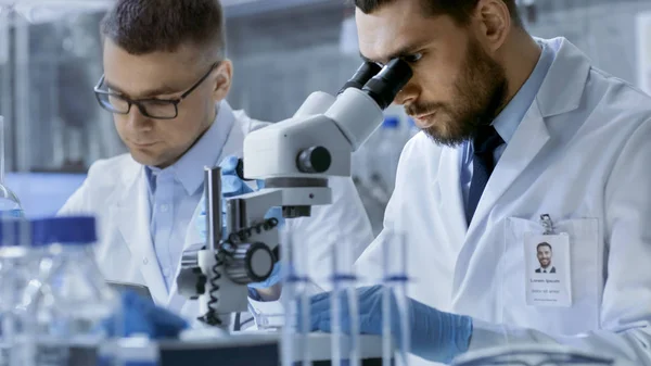 In a Modern Laboratory Two Scientists Conduct Experiments. Jefe. —  Fotos de Stock