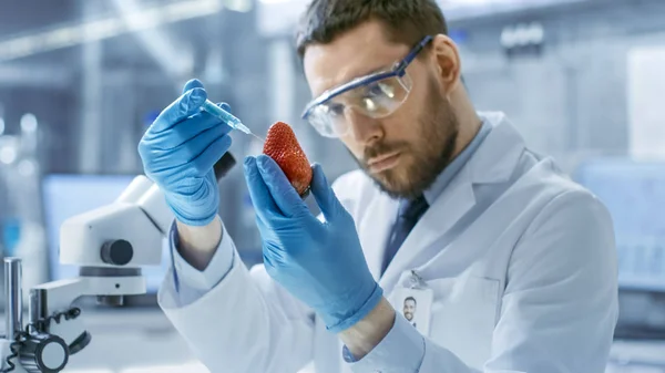 In un laboratorio moderno Food Scientist inietta fragola con un — Foto Stock