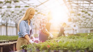 Takım Busily çalışma, düzenlenmesi, renk sıralama mutlu bahçıvanlar