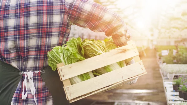 Glücklicher Bauer spaziert mit Kiste voller Gemüse durch die Industrien — Stockfoto