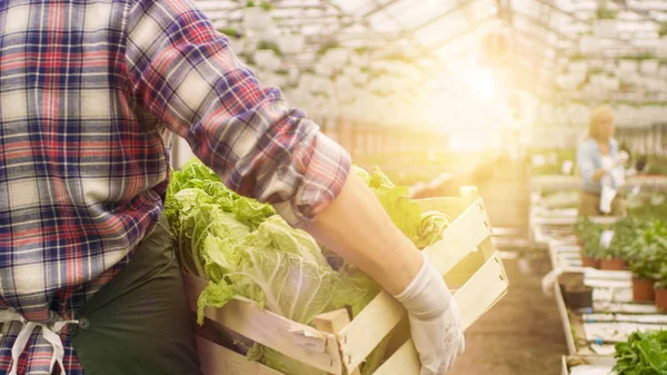 Dans de grandes promenades industrielles lumineuses de fermier de serre avec la boîte de Veg — Photo