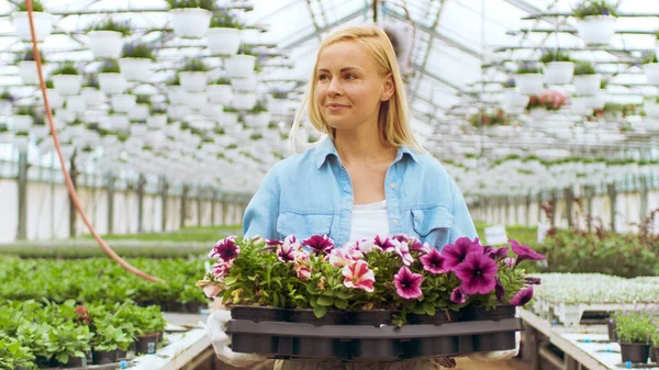 Travail dur jardinier femelle tient boîte avec des fleurs. Elle est heureuse. — Photo