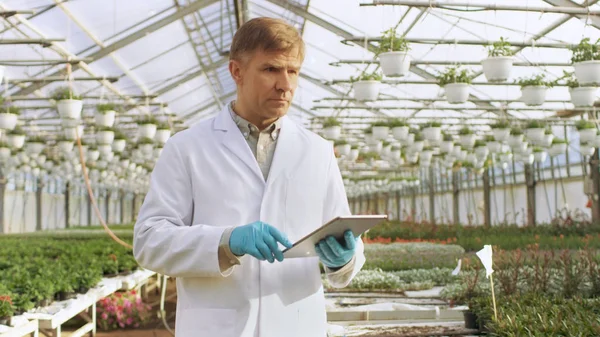 Na estufa industrial engenheiro agrícola vestindo branco — Fotografia de Stock