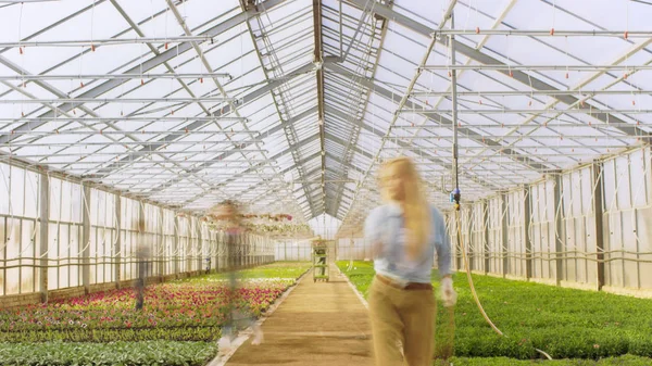 Shot of Busy Industrial Greenhouse Donde siluetas de jardinero — Foto de Stock