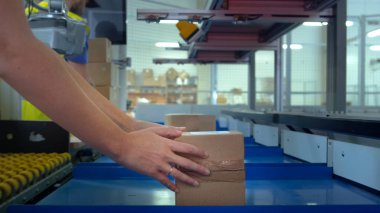 Worker Takes Parcel From Moving Belt Conveyor at Post Sorting Of