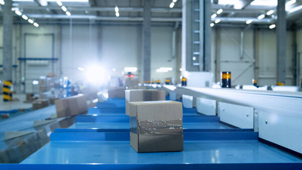 Parcels are Moving on Belt Conveyor at Post Sorting Office. Box 