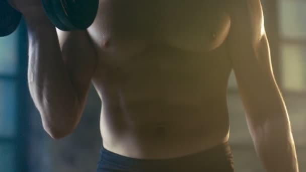 Torso Close-up de um homem sem camisa muscular faz bíceps cachos com halteres Exercícios, como parte de seu treinamento de musculação ginásio . — Vídeo de Stock