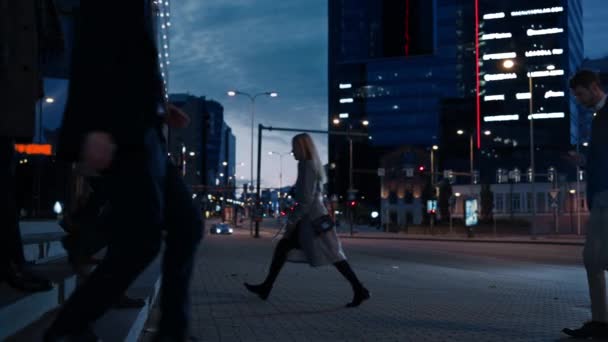 Office Managers and Business People Commute to Work in the Morning or from Office in the Evening on Foot. Pedestrians are Dressed Smartly. People are Successful. Urban City Lights in the Background. — Stock Video