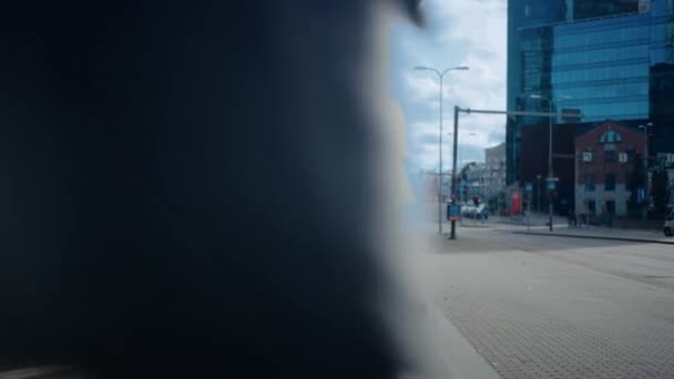 Gerentes de Oficinas Diversas Multiculturales y Gente de Negocios Caminando en una Calle. Mujer y Hombre Conoce a un Socio Corporativo junto al Centro de Negocios y Agita las Manos . — Vídeos de Stock