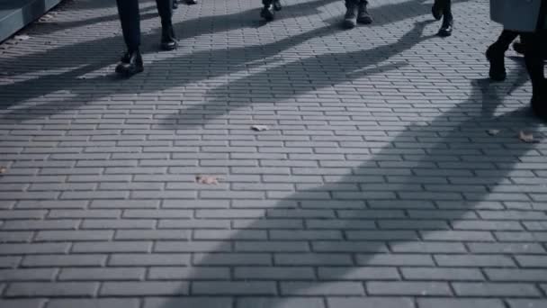 Close Up Leg Shot of a Business People Commuting to the Office on Foot. Managers and Businessmen Walk on a Crowded Pedestrian Street. People Dressed Smart. Cold Light. — Stock Video