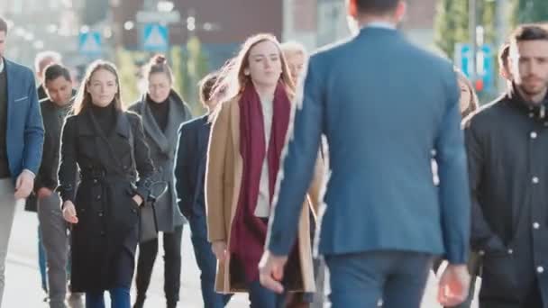 Diversos y multiculturales gerentes de oficina y gente de negocios viajan al trabajo por la mañana o desde la oficina en un día soleado a pie. Los peatones son inteligentes vestidos casualmente. Parecen exitosos. . — Vídeos de Stock