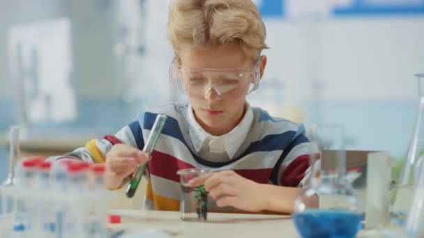 Naturwissenschaftliches Klassenzimmer der Grundschule: Schlauer kleiner Junge mit Schutzbrille mischt Chemikalien in Becher — Stockvideo