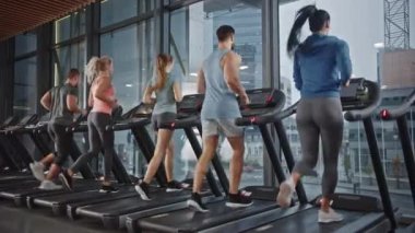 Koşu bandında koşan, spor yapan beş kişilik bir grup. Modern Spor Salonu 'nda atletik ve kaslı kadınlar ve erkekler spor yapıyor. Spor Salonu 'nda Spor İnsanları Antrenmanı. Yan Görünüm