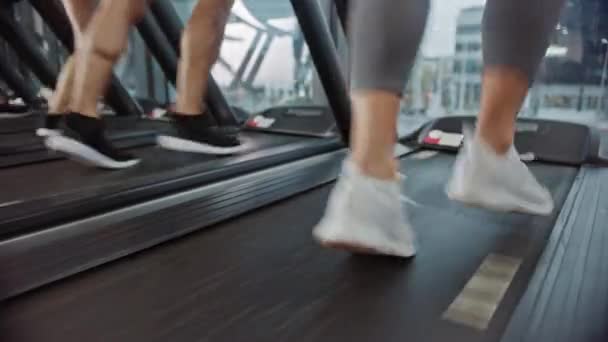 Sportliche Menschen, die auf Laufbändern laufen und Fitnessübungen machen. Starke Frauen und Männer beim Training in der modernen Turnhalle. Sports People Workout im Fitness Club. Tieffliegerschuss mit Beinfokus — Stockvideo