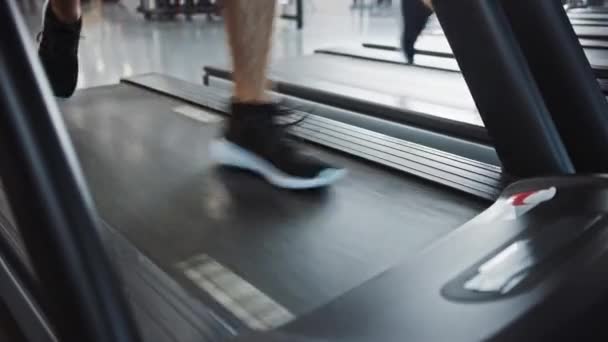 Les gens athlétiques courir sur tapis roulants, faire de l'exercice de remise en forme. Femmes et hommes forts s'entraînent dans le gymnase moderne. Sports People Workout in Fitness Club. Prise de vue au sol avec mise au point sur les jambes — Video