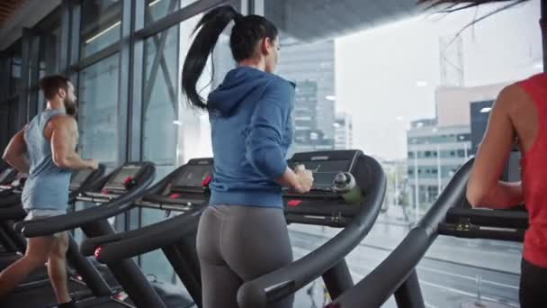 Fit Athletic Woman Running on the Treadmill, Doing Her Fitness Exercise. Muscular Women and Men Actively Training in the Modern Gym. Sports People Workout in Fitness Club. Side and Back View — Stock Video