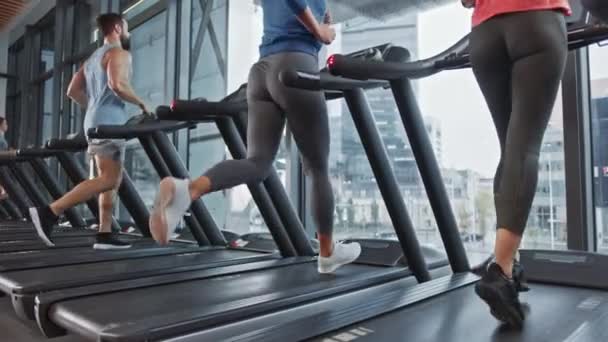 Pessoas Atléticas Correndo em Treadmills, Fazendo Fitness Exercício. Atletismo, Mulheres Musculares e Homens Treinamento Activo no Ginásio Moderno. Treinamento de pessoas de esportes. Visão traseira Elevando e câmera de movimento lento — Vídeo de Stock