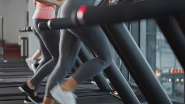 Beautiful Athletic Sports Woman Wearing Wireless Headphones, Listens to a Podcast or Sport Music Playlist while Running on a Treadmill. In Background Fit Athletes Training in the Gym — Stock Video