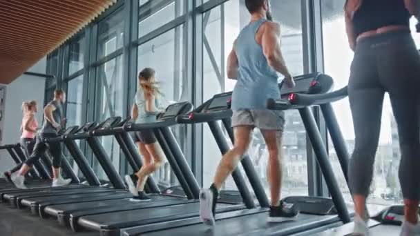 由6名运动员组成的团体在跑步机上跑步，做健身锻炼。现代健身房的运动和肌肉发达的男女积极锻炼。健身俱乐部的运动健美人员。侧视图 — 图库视频影像