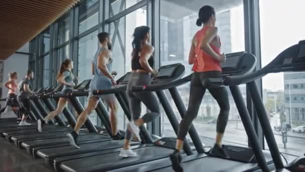 由6名运动员组成的团体在跑步机上跑步，做健身锻炼。现代健身房中的运动健美人士。健身俱乐部的运动健美人员。侧视图慢动作 — 图库视频影像