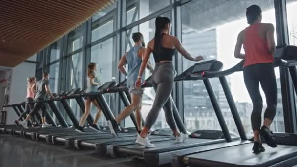 핏 우먼 은 트레드 밀 과 스타 이 츠 를 타고 달리며 건강 운동을 한다. 근육질의 여성들 과 남성들은 현대 체육관에서 적극적 인 훈련을 받는다. 스포츠 피플 (Sports People Workout) 은 대한민국의 스포츠 클럽이다. 슬로우 모션을 보는 측면 — 비디오