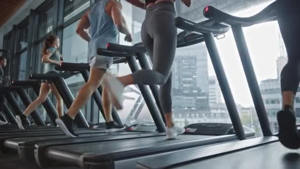 Fit Athletic Woman Walks onto Treadmill and Starts Running, Doing Her Fitness Exercise. Muscular Women and Men Active Training in the Modern Gym (en inglés). Ángulo de suelo bajo con vista lateral en cámara lenta — Vídeo de stock