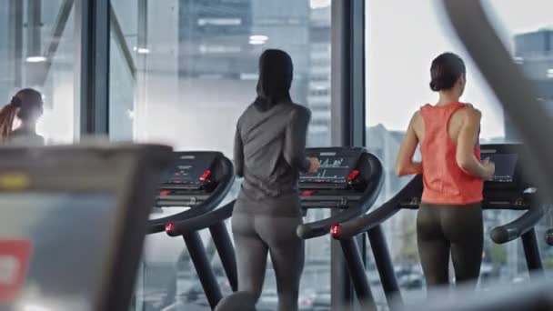 Athletic Sports Women Running on a Treadmills, One Muslim Woman Wearing Hijab. Energetic Fit Women's Athletes Allenamento in palestra. Fitness Club Femminile per Allenamento e Allenamento. Vista posteriore — Video Stock