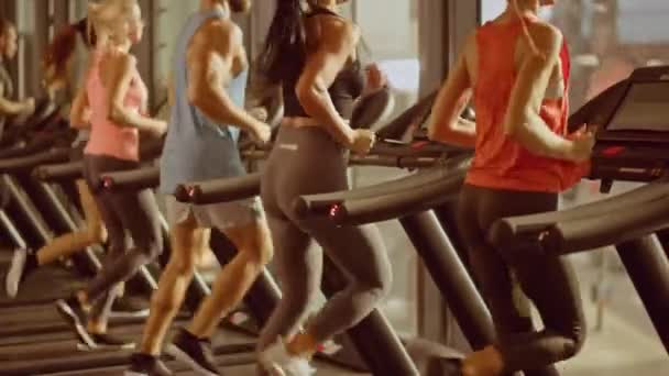 トレッドミルを走る運動選手,フィットネス運動を行う.運動と筋肉の人々現代のジムで積極的にトレーニング。ゴールデンアワーサニーライト。バックビュースローモーションでカメラを高める — ストック動画