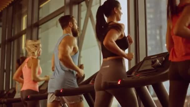 Athletic People Running on Treadmills, Doing Fitness Exercise. Athletic and Muscular People Actively Training in the Modern Gym. Golden Hour Sunny Light. Back View Slow Motion Camera Shot — Stock Video
