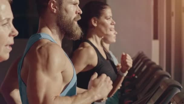 Group of Athletic People Running on Treadmills in a Row, Doing Fitness Exercise. Athletic and Muscular Women and Men Actively Training in the Modern Gym. Side View Portrait. Golden Hour Sunny Day — Stock Video