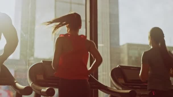 Hermosa deportista atlética en el gimnasio corriendo en una cinta de correr. En formación de atletas de fondo Fit. Vista trasera en cámara lenta. Luz del día de la hora dorada — Vídeos de Stock