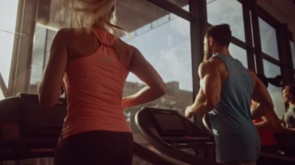 Grupo de personas atléticas que corren en cintas de correr en fila, haciendo ejercicio físico. Mujeres y hombres atléticos y musculares Entrenamiento activo en el gimnasio moderno. Vista lateral Golden Hour Sunny Light — Vídeo de stock