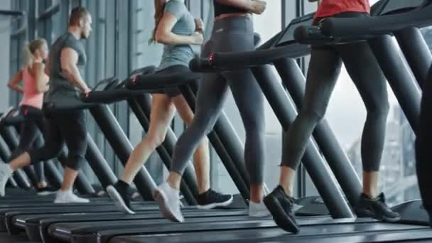 Les gens athlétiques courir sur tapis roulants, faire de l'exercice de remise en forme. Fit and Muscular People Entraînement actif dans la salle de gym moderne. Vue arrière Appareil photo élévateur au ralenti — Video