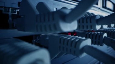 Makro Atış: Ethernet kabloları Yanıp sönen Işıklar ile Router Portlarına bağlandı. Data an Telecommunications: RJ45 Internet Connectors Modem LAN Switches 'a bağlandı. Yan Görünüm Taşıyıcı Kamera