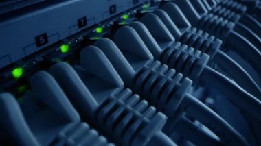 Macro Shot: Ethernet Veri Kabloları Yanıp sönen Işıklar ile Yönlendirici Portlara Bağlandı. Telekomünikasyon: RJ45 Internet Connectors Modem LAN anahtarlarına bağlandı. Yana Görünümlü Yükseltilmiş Hareket Kamerası