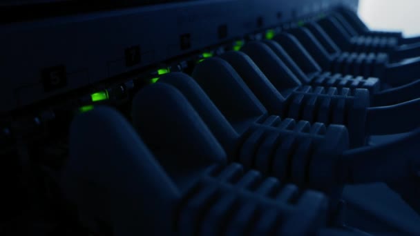 Macro Shot: Cabos de data center Ethernet conectados a portas de roteador com luzes de piscar. Telecomunicações: Modem com Conectores de Internet RJ45 ligados. Quarto escuro gradualmente se ilumina — Vídeo de Stock