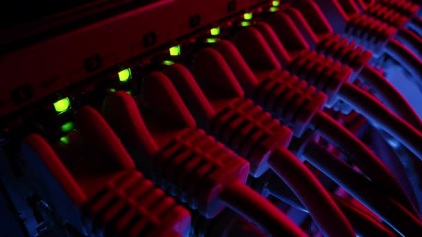 Macro Shot: Ethernet Data Cables Connected to Router Ports with Flashing Lights. Information Technology with RJ45 Internet Connectors Plugged into Modem LAN Switches. Neon Red Blue Lighting — Stock Video