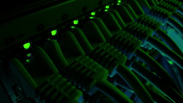 Macro постріл: кабелі даних Ethernet, підключені до портів маршрутизатора з блимаючими вогнями. Інформаційні технології з роз'ємами RJ45 підключені до комутаторів локальної мережі Modem. фон зелене освітлення — стокове відео