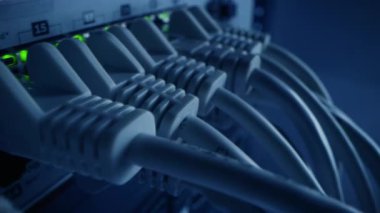Macro Shot: Ethernet Veri Merkezi Kabloları Yanıp sönen Işıklarla Yönlendirici Portlara Bağlandı. Telekomünikasyon: RJ45 Internet Connectors Modem LAN anahtarlarına bağlandı. Hareket eden kamera. Soğuk Mavi Işıklandırma