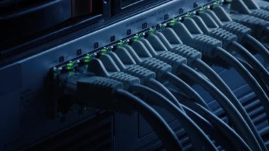 Macro Shot: Ethernet Veri Kabloları Yanıp sönen Işıklar ile Yönlendirici Portlara Bağlandı. Telekomünikasyon: RJ45 Internet Connectors Modem LAN anahtarlarına bağlandı. Güvenli Veri Merkezi çalışıyor