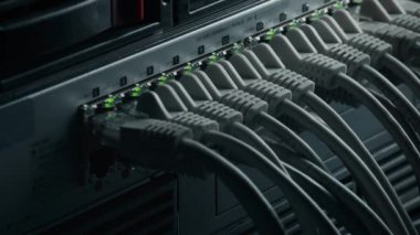 Macro Shot: Ethernet Veri Kabloları Yanıp sönen Işıklar ile Yönlendirici Portlara Bağlandı. Telekomünikasyon: RJ45 Internet Connectors Modem LAN anahtarlarına bağlandı. Güvenli Veri Merkezi Sistemi Çalışıyor
